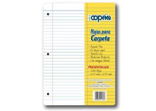 HOJAS PARA BINDER RAYA PAQUETE DE 100 HOJAS